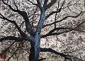 encre de chine_0033